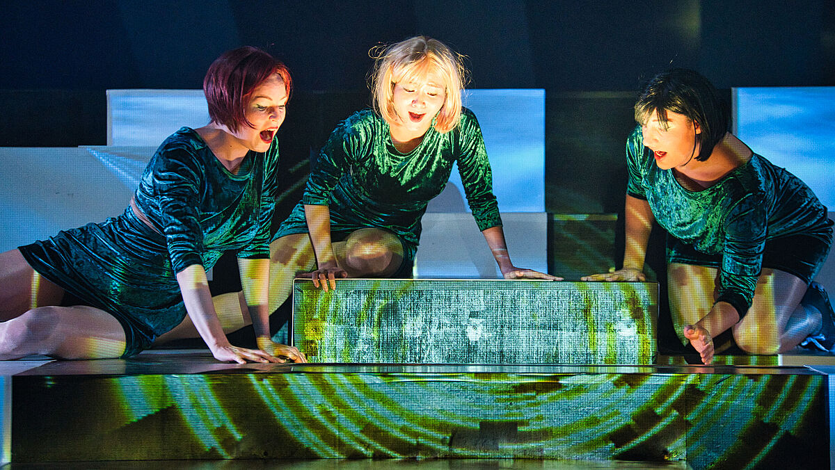 Unsere Studiengänge