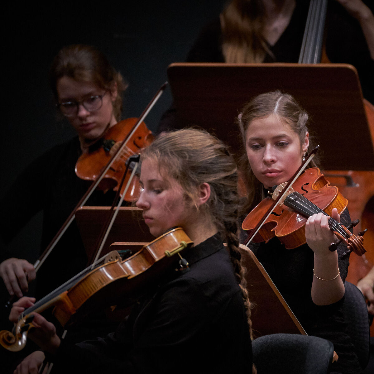 „Der Karneval der Tiere“ beim KlangLabor-Orchesterkonzert